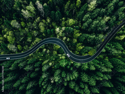 Aerial view of curved road with cars passing through the green summer forest © nblxer
