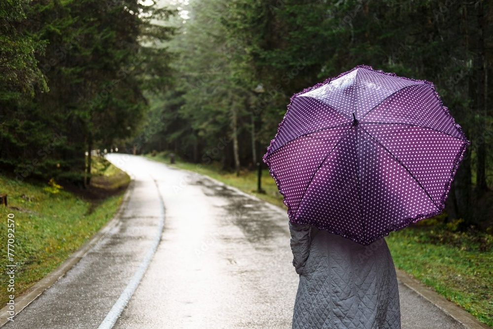 Young Woman With Purple Umbrella Walks Autumn Park Durmitor Montenegro