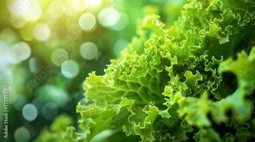 Vivid green lettuce thriving in a greenhouse environment, lush and flourishing abundantly