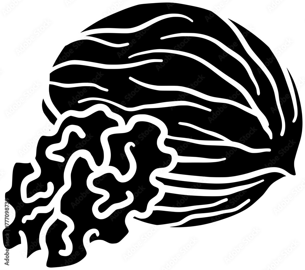 walnut illustration hazelnut silhouette pecan logo nut icon healthy outline cashew food seed leaf almond branch snack tree leaves shape plant pistachio diet for vector graphic background walnut illustration hazelnut silhouette pecan logo nut icon healthy outline cashew food seed leaf almond branch snack tree leaves shape plant pistachio diet for vector graphic background