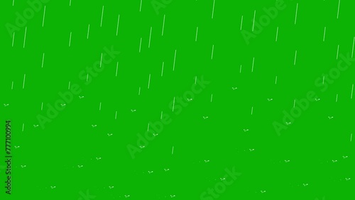 Simple rain animation with water drops and ripples on a green screen background