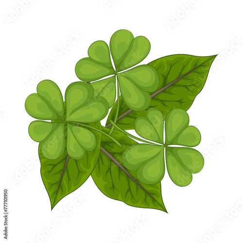 Illustration of leaf 