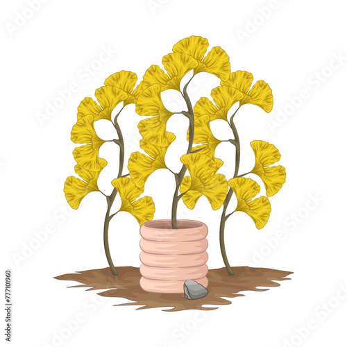Illustration of plant 