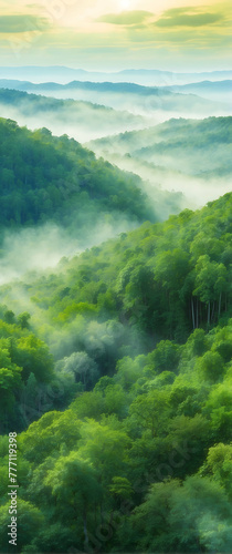 for advertisement and banner as Forest Canopy A watercolor canopy of forest greenery from a bird eye view. in watercolor landscape theme theme ,Full depth of field, high quality ,include copy space on © Gohgah