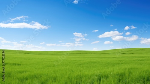 unreal blue sky green grass photo
