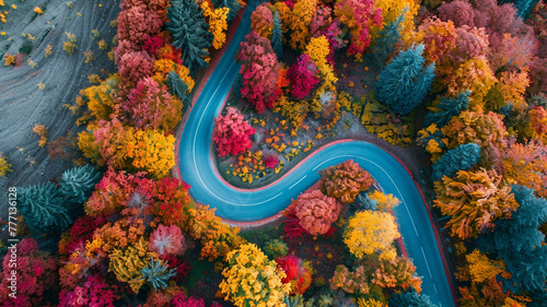 Aerial view of a winding road through a picturesque countryside with vibrant autumn colors.