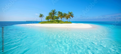 Tranquil maldives island beach aerial view with lush palm trees on serene white sandy shore