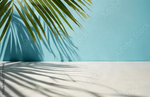 Shadow of a palm leaf cast upon a white wall background, evoking a natural summer vibe. Perfect backdrop for showcasing products. © Robert Kiyosaki