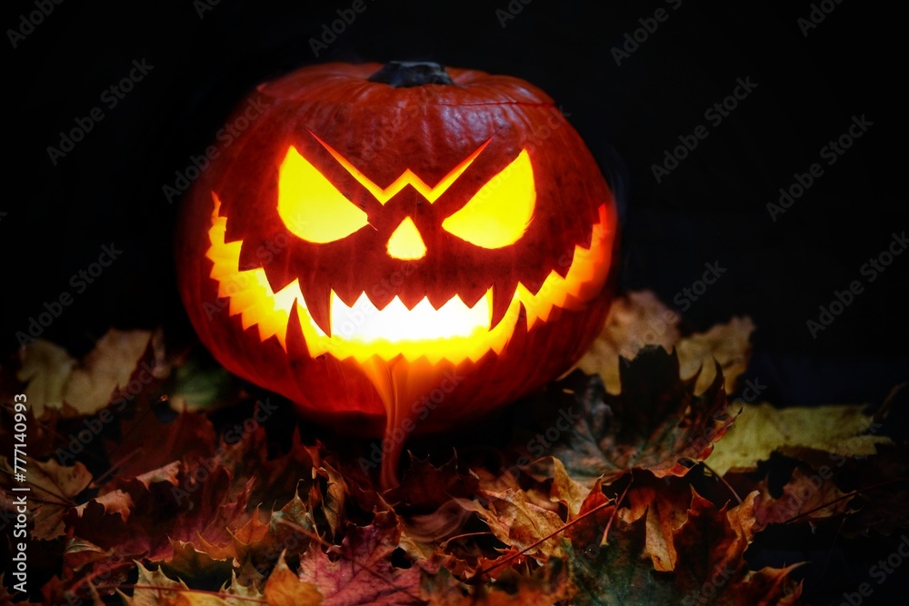 Fototapeta premium jack o lantern