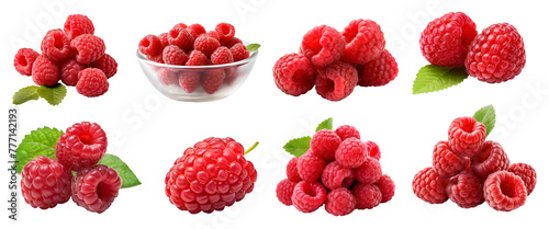 Raspberry raspberries, many angles and view side top front group pile heap isolated on transparent background cutout, PNG file. Mockup template for artwork graphic design