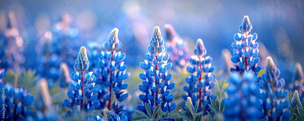 Blossoming Bluebonnets A Springtime Celebration Generative AI Blossoming Bluebonnets A Springtime Celebration Generative AI