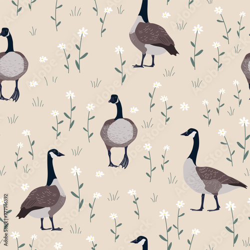 Seamless pattern with daisy flower and Canada geese birds. Small white flowers and green leaves on beige background. Cute floral print. Vector illustration © Toltemara