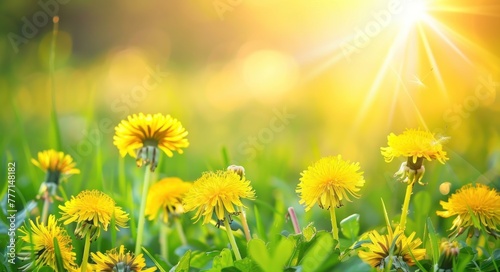 Golden Sunrise over Dandelion Field - A Vision of Spring s Renewal - Generative AI