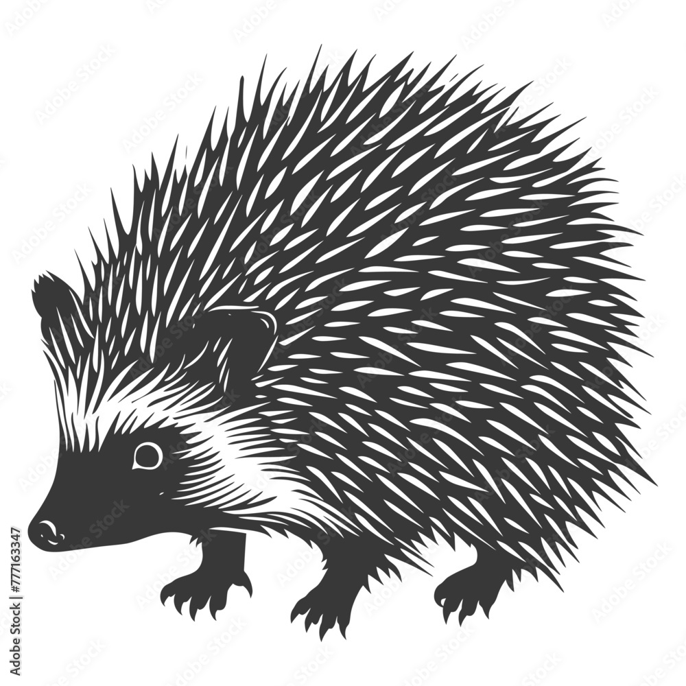 Silhouette Hedgehog animal black color only full body Silhouette Hedgehog animal black color only full body