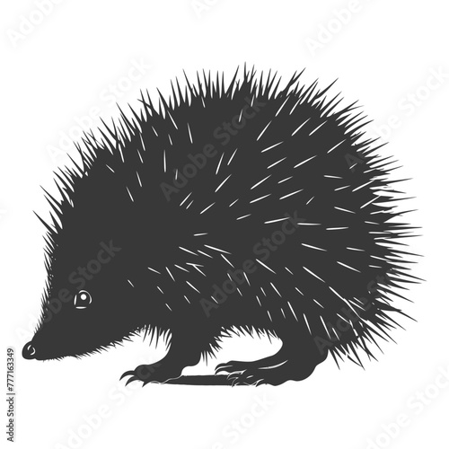 Silhouette Hedgehog animal black color only full body