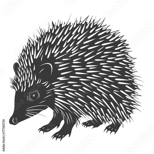 Silhouette Hedgehog animal black color only full body