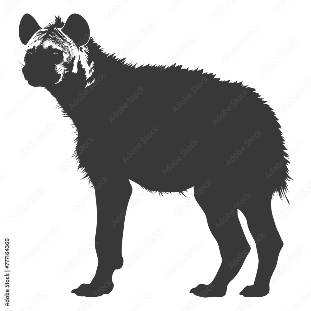Silhouette hyena animal black color only full body Silhouette hyena animal black color only full body