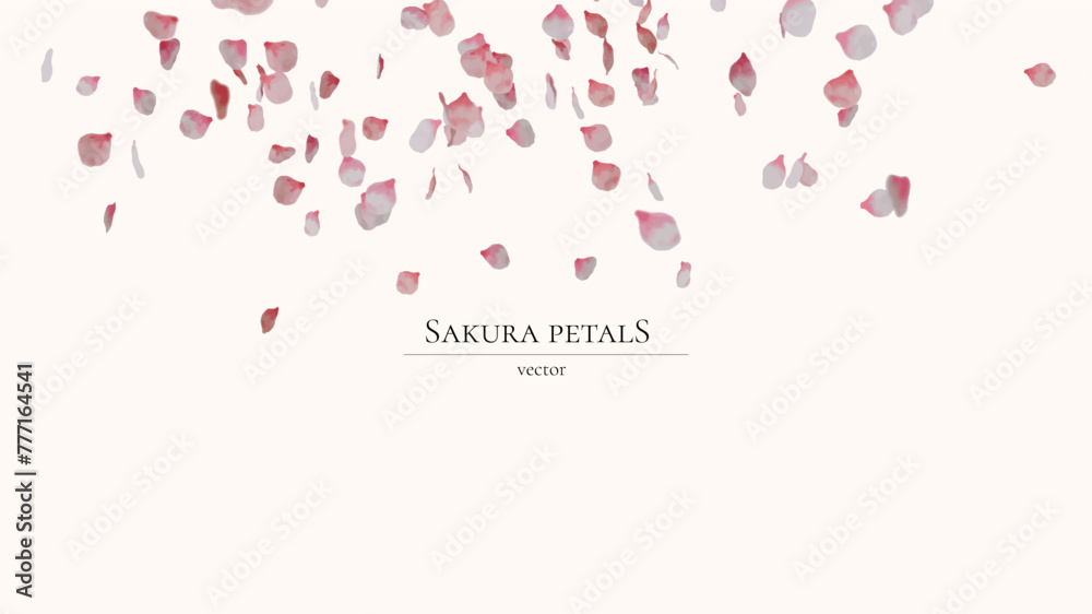 Falling sakura petals in realistic style. Vector without background.
