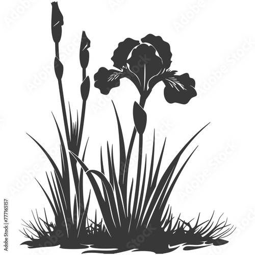 Silhouette iris flower in the ground black color only