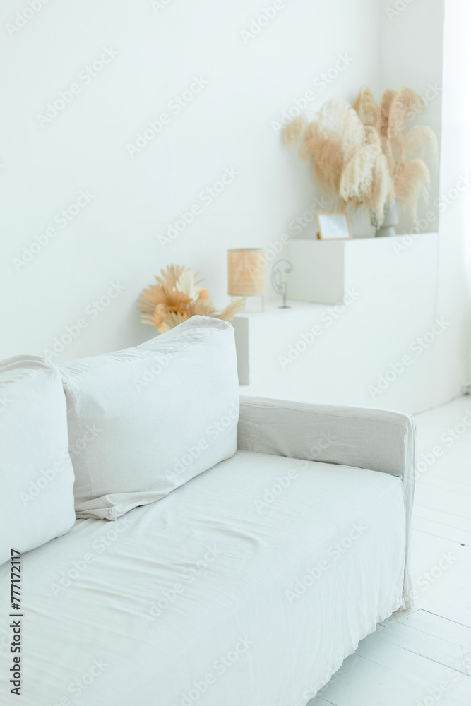 White couch in cozy white space with pampas grass