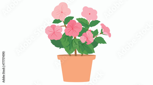 Fototapeta Naklejka Na Ścianę i Meble -  Cute blooming pink flower in pot. Simple houseplant