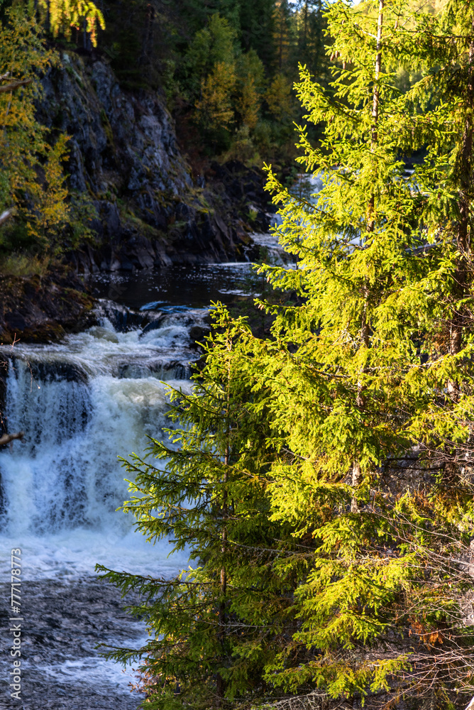 Beautiful landscape with waterfall in forest. Kivach waterfall in Karelia, Russia. Beautiful landscape with waterfall in forest. Kivach waterfall in Karelia, Russia.