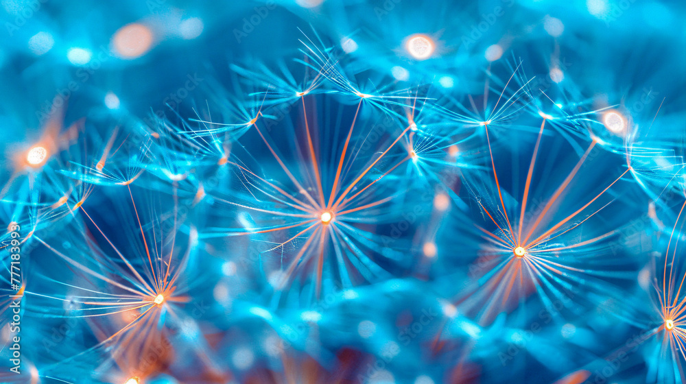 Ethereal blue dandelion macro, abstract network of seeds and light Ethereal blue dandelion macro, abstract network of seeds and light