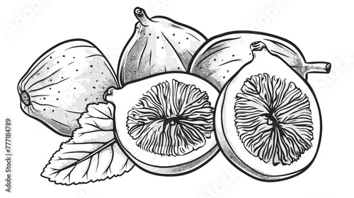 Fig fruit black and white. Hand-drawn doodle vector.