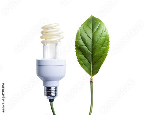 Lamp with leaf isolated on transparent background