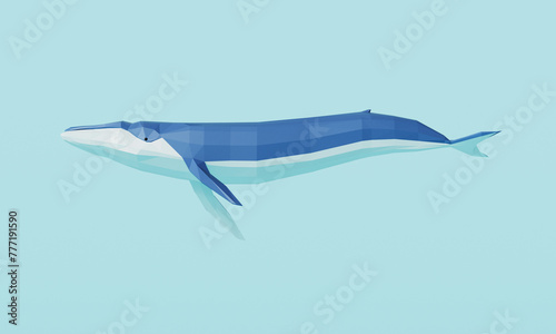 다각형 흰수염고래   Polygon Blue Whale