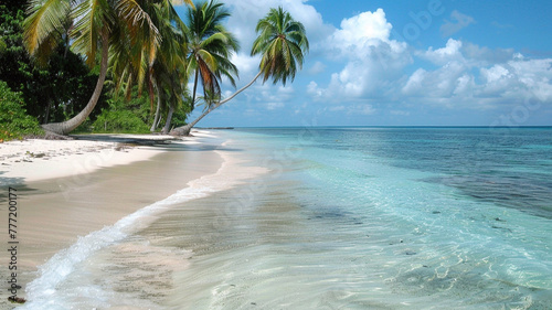 Tranquil beach with powdery white sand  crystal-clear waters  and swaying palm trees.