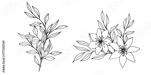 vector contour branch flowers and leaves compositions. Elegant art for decoration. hand drawn monochrome botanical illustration for backgrounds. Template for wedding cards and polygraph, logo, tattoo.