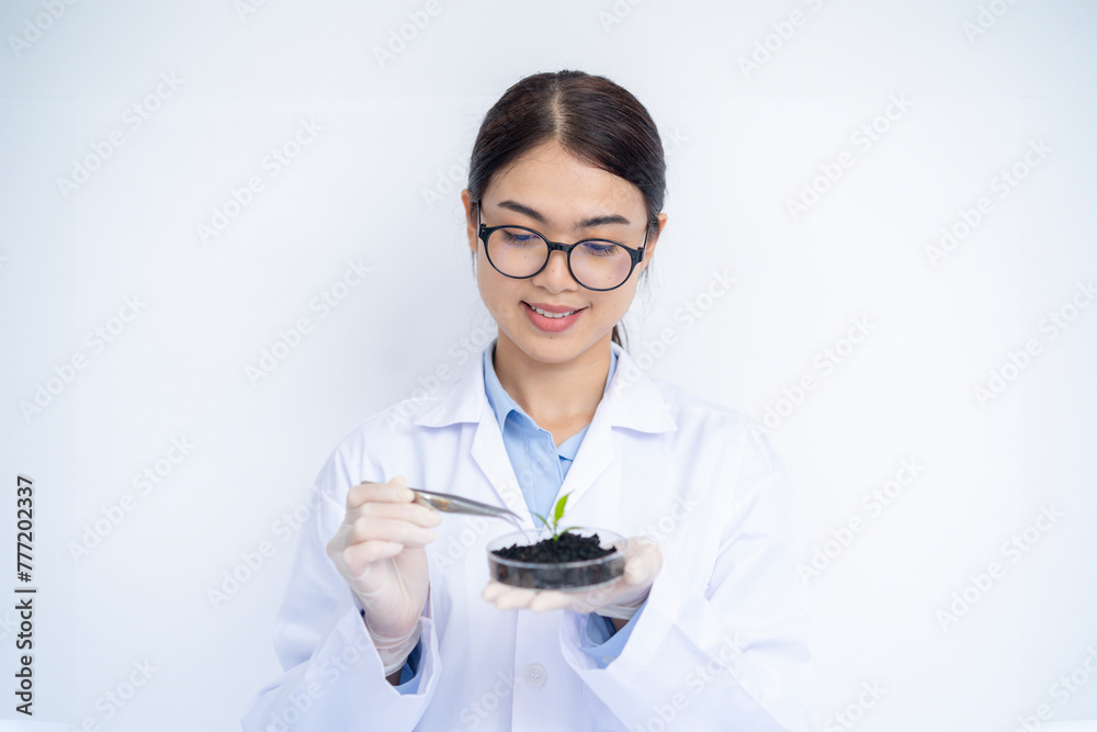 Scientists with seedlings in the laboratory Scientists with seedlings in the laboratory