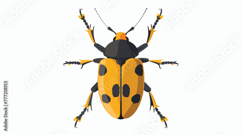 Yellow beetle top view isolated on a white background. © Roses