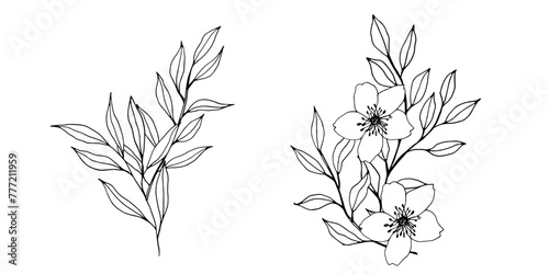 vector contour branch flowers and leaves compositions. Elegant art for decoration. hand drawn monochrome botanical illustration for backgrounds. Template for wedding cards and polygraph, logo, tattoo.