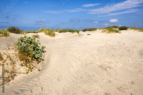 Sand dunes at Marmari beach on the island of Kos. Greece