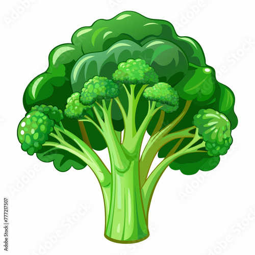 Fresh and Vibrant Broccoli Vector Illustrations Add Green Appeal to Your Designs
