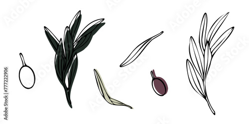 Vector olive tree branch with leaves and olives fruit. Hand painted outline floral illustration with color background for logo, package design, greetings, wallpapers, print, fabric.