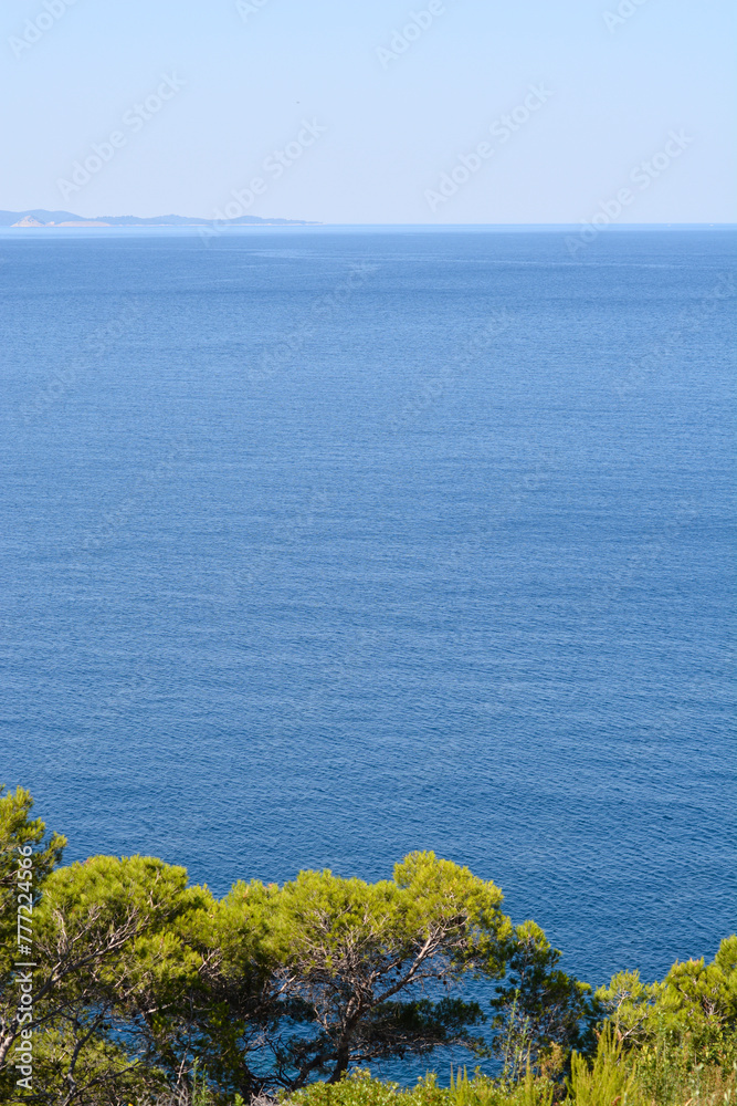View of Adriatic sea and island Mljet in the distance over pine trees 