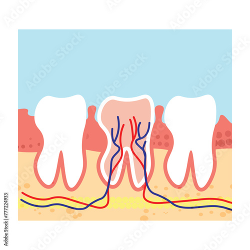 Dental care concept. Stomatology. Vector illustration in flat style