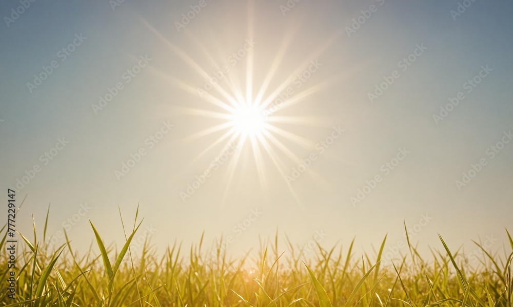 Sunlight summer vibe, grass with sun beams, summer postcard Sunlight summer vibe, grass with sun beams, summer postcard