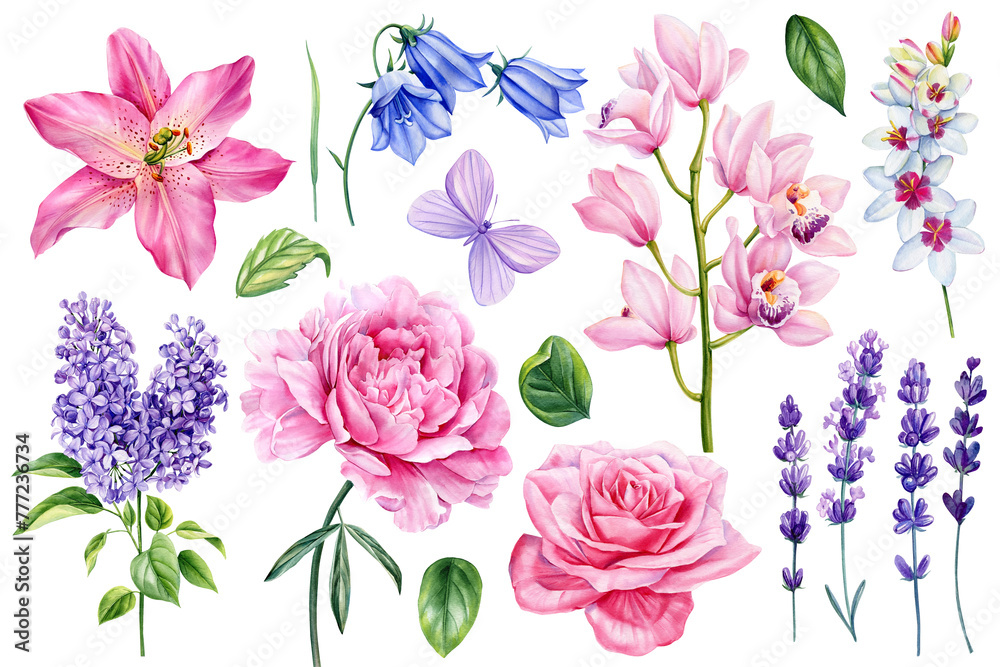 Watercolor Floral set. Peony, rose, lavender, lily, orchid, bluebells and lilac flower isolated. Hand drawn illustration
