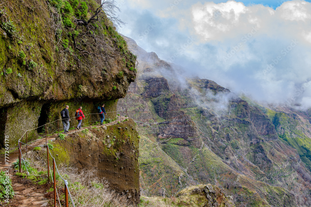 Naklejka premium Wanderwege im Hochland von Madeira