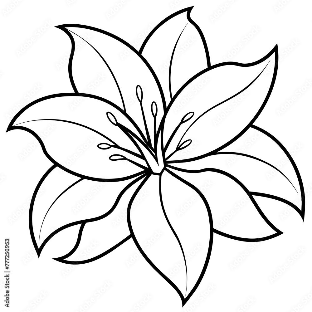 lily of the valley beautiful with white background - vector illustration lily of the valley beautiful with white background - vector illustration