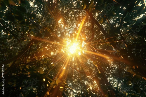 zoom lens and golden light burst among trees photo