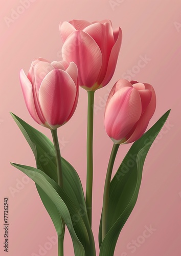 Pink Tulips on Pink Background, Wall Art, Card Template 