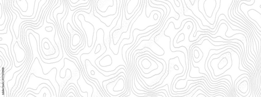 Abstract lines background Contour maps with geometric stripes, dynamic Topographic background and texture, geometric Map mockup infographics, Contour lines of geographic on white paper.