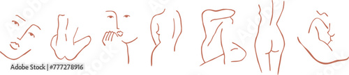 Abstract illustration of woman, outline line art, cafe office restaurant bar wall decoration, nude parts of body, face, head, torso, back, front.
