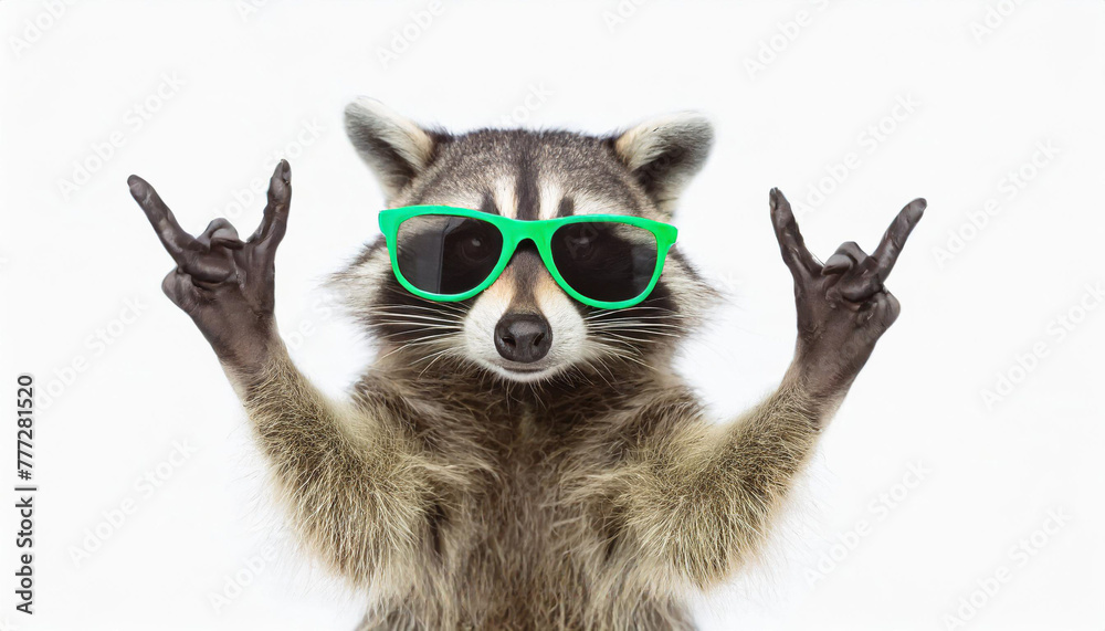 Funny raccoon in green sunglasses showing a rock gesture isolated on white background - obrazy, fototapety, plakaty 