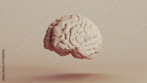 Brain human anatomy mind neutral backgrounds soft tones beige brown background front left view 3d illustration render digital rendering